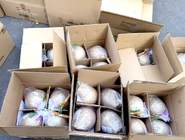 �����ϲ飡3�˱�������