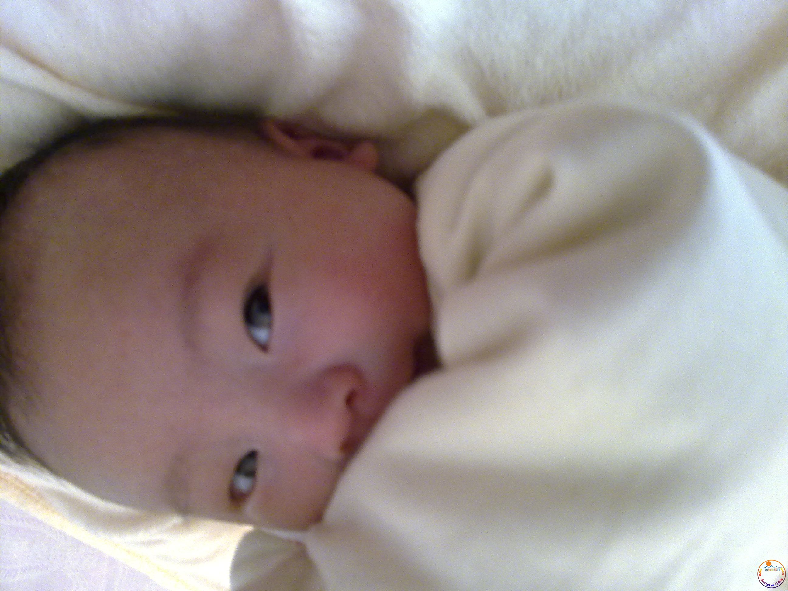 20101125071.jpg