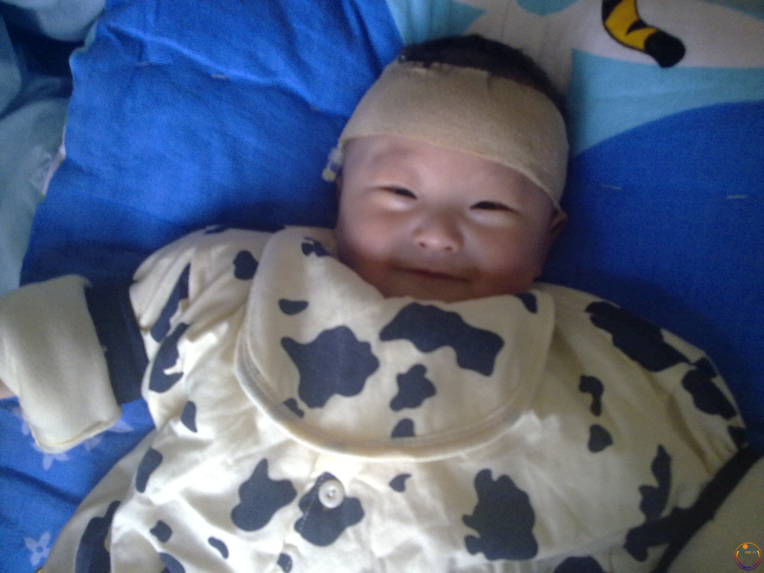 20101230103.jpg