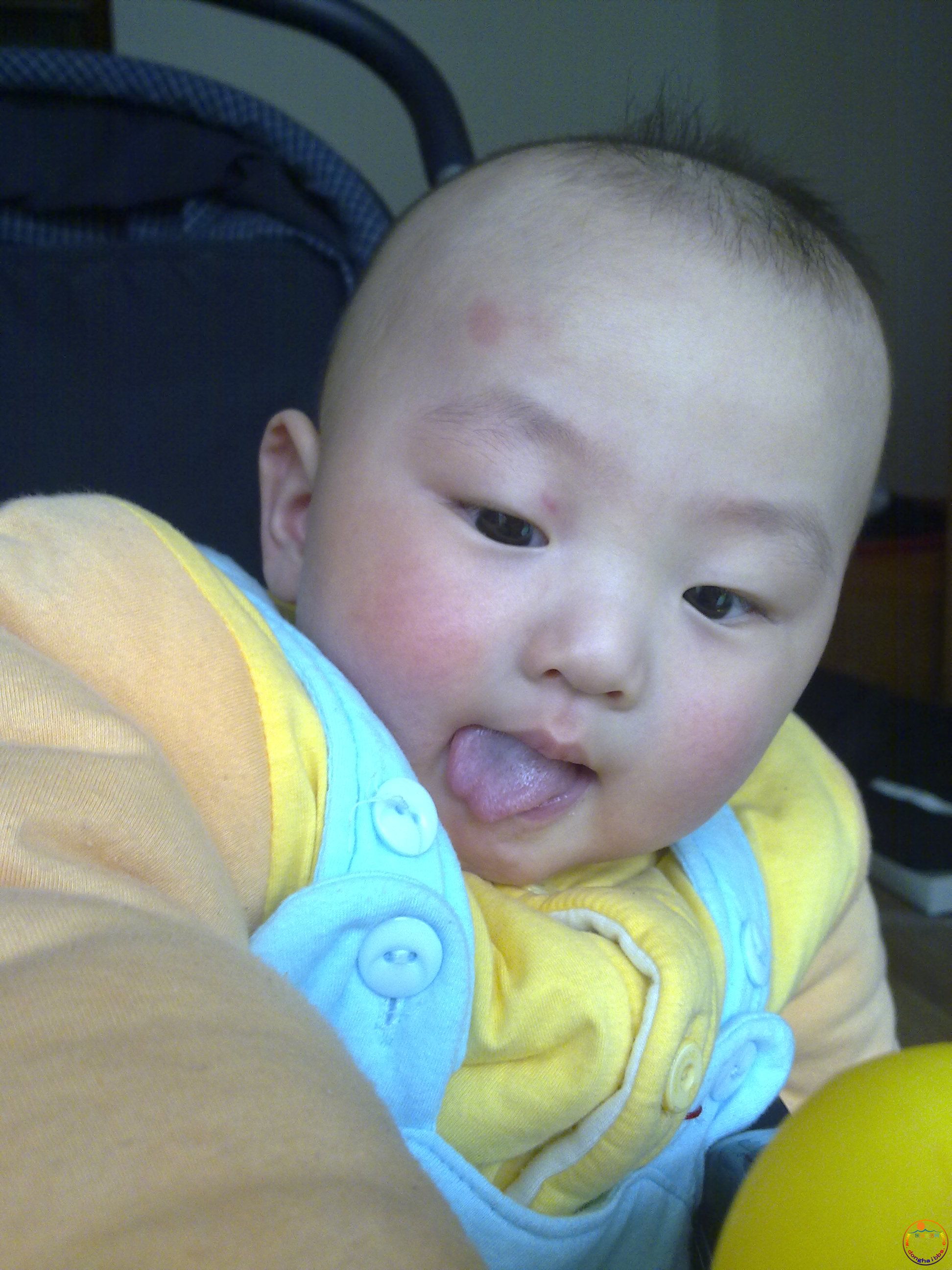 20110413136.jpg