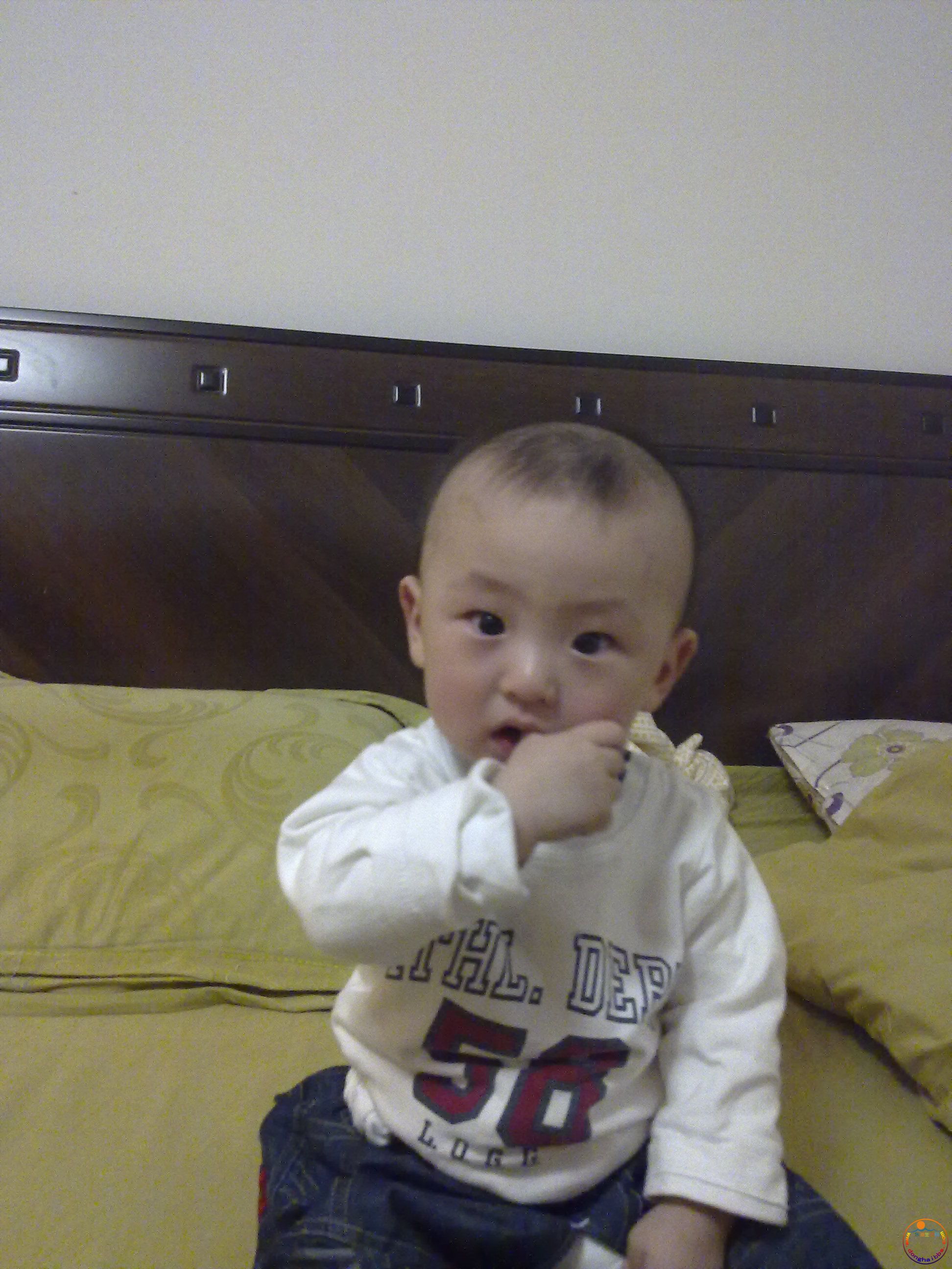 20110515156.jpg