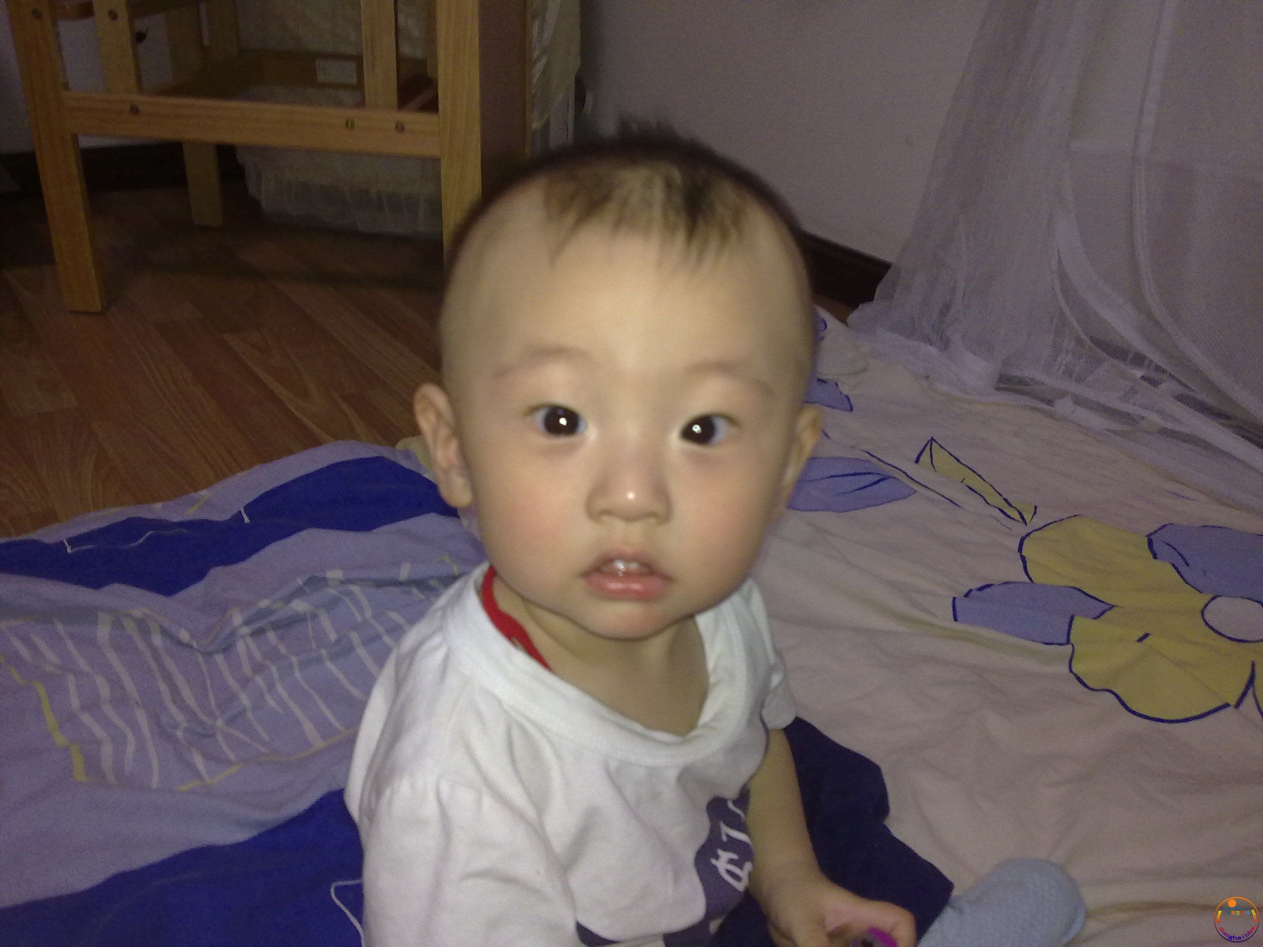 20110620176.jpg