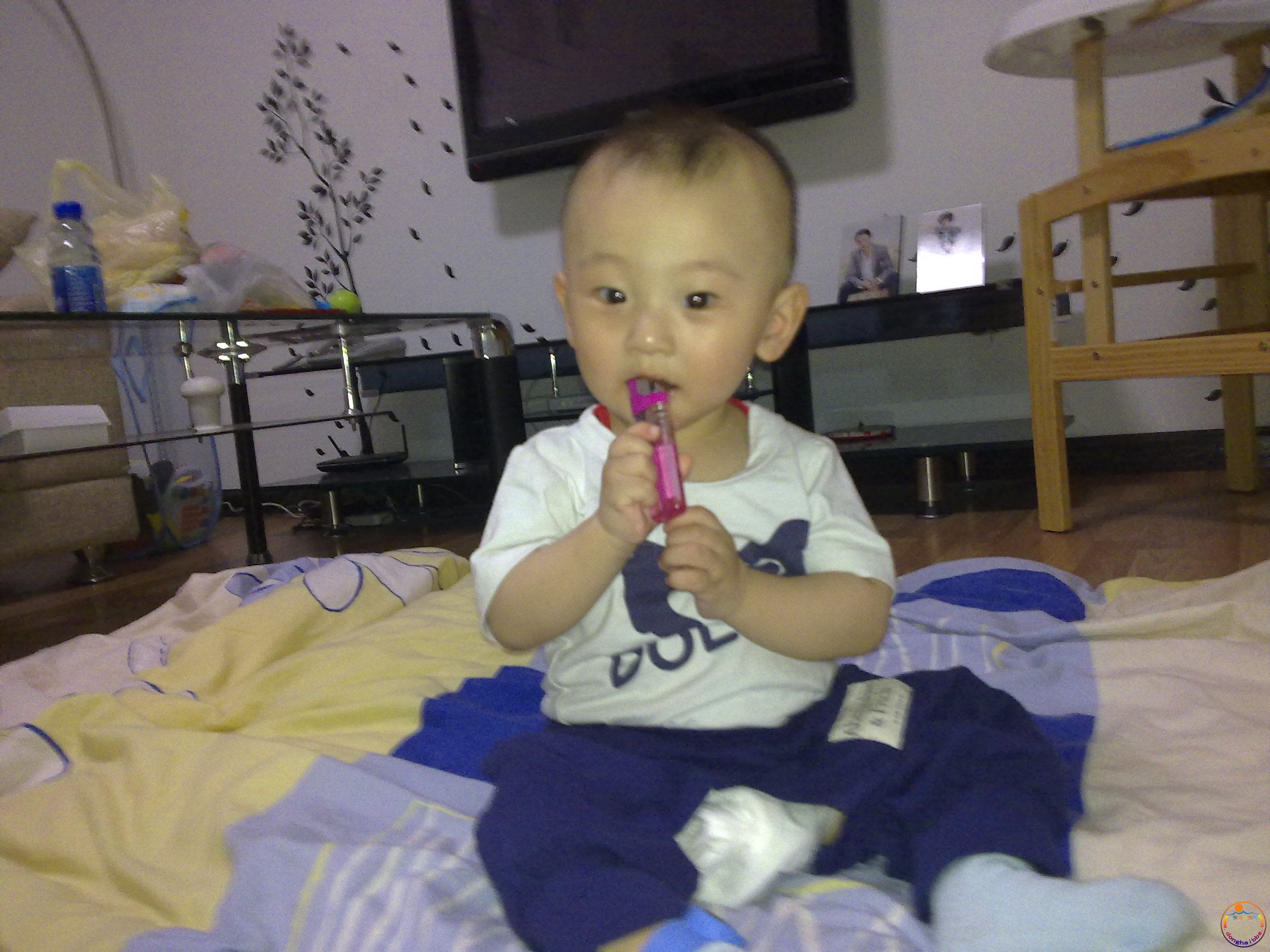 20110620177.jpg