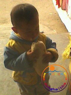 IMG0240A.jpg