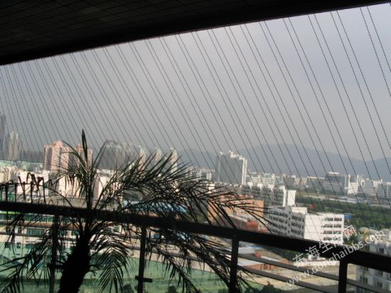 12215U64144.jpg