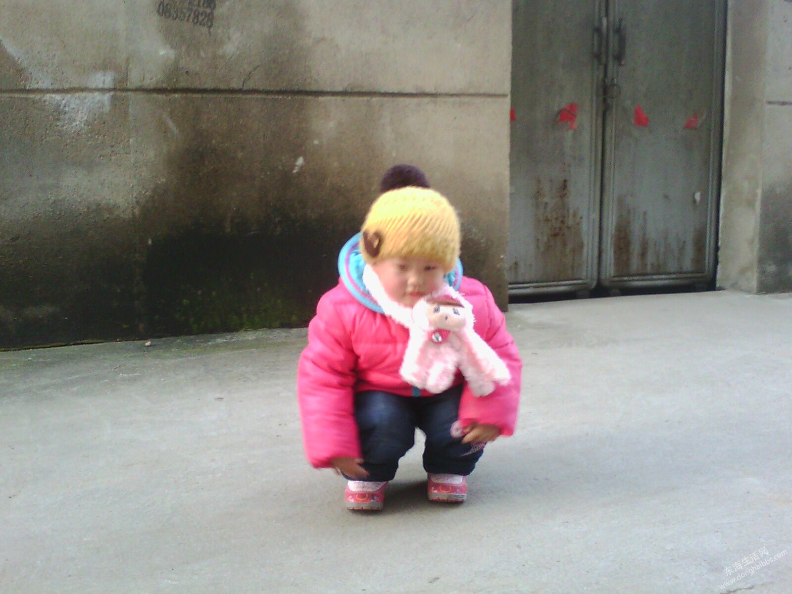 IMG0445A.jpg