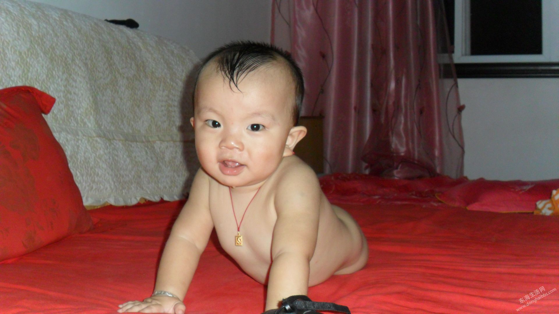 SAM_0042.JPG