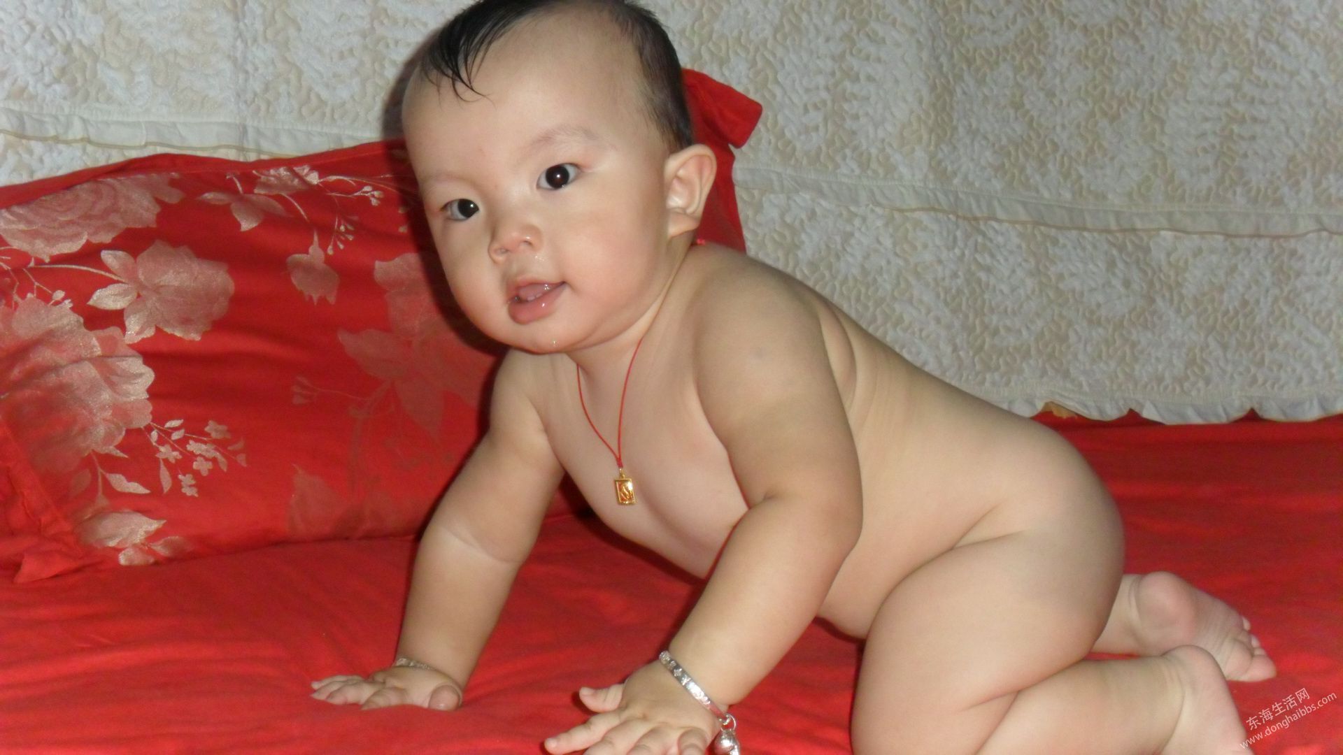SAM_0046.JPG