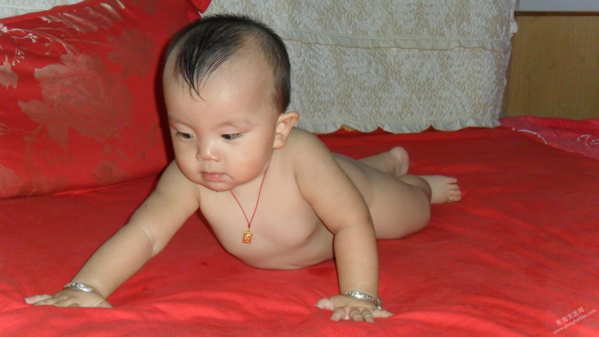 SAM_0047.JPG