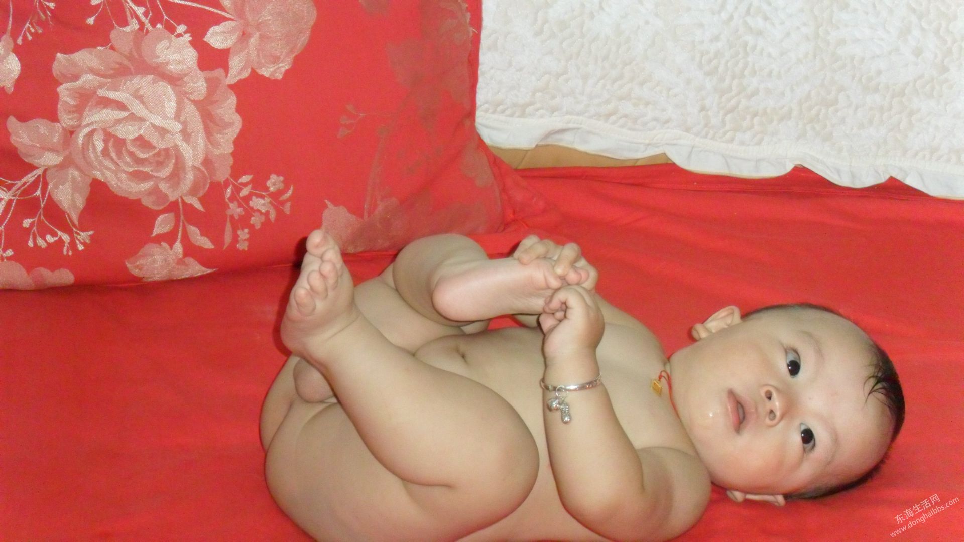 SAM_0051.JPG