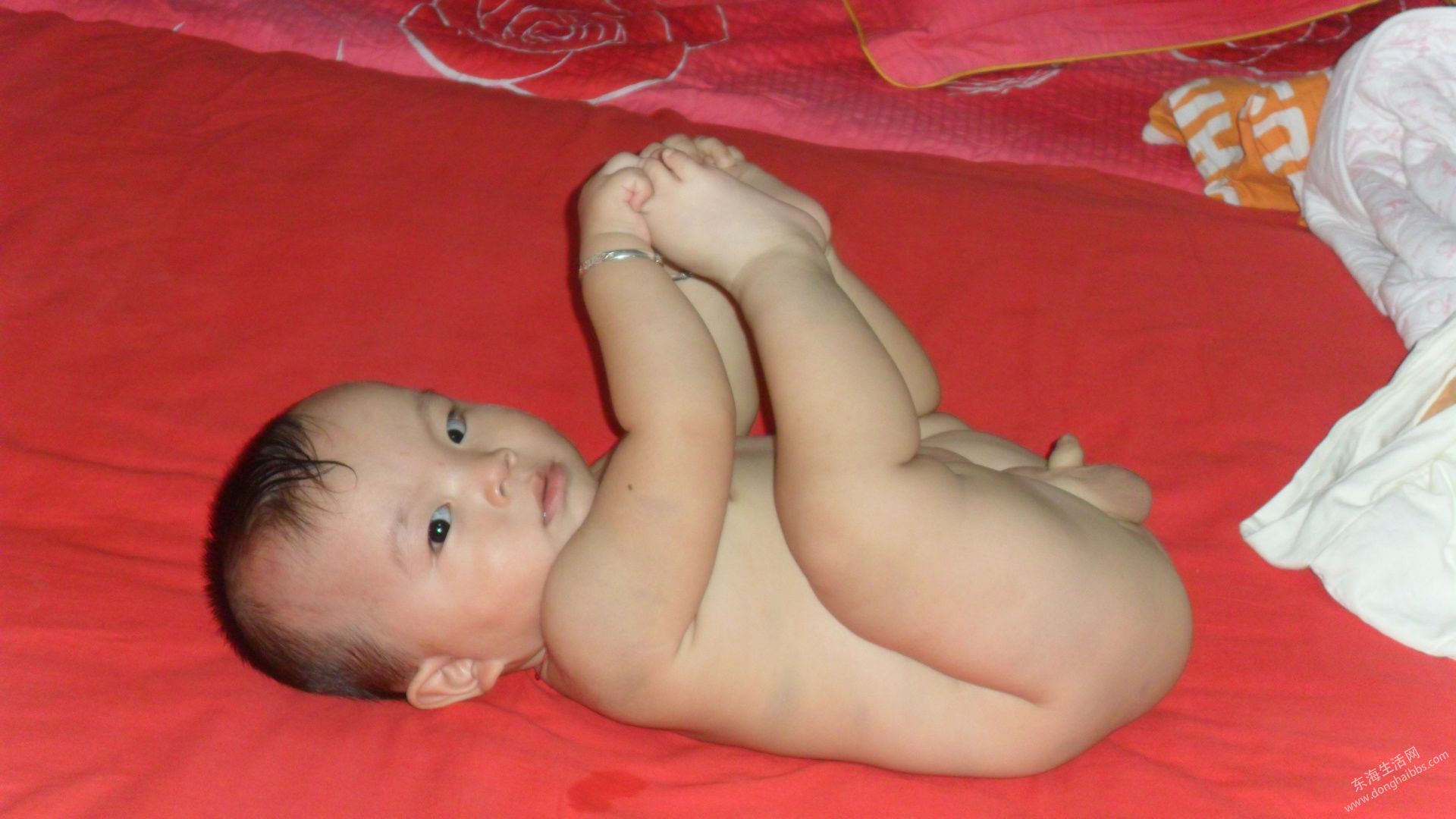 SAM_0057.JPG