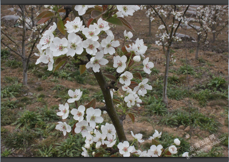 QQͼ20120412004023.png