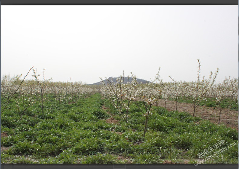 QQͼ20120412004130.png