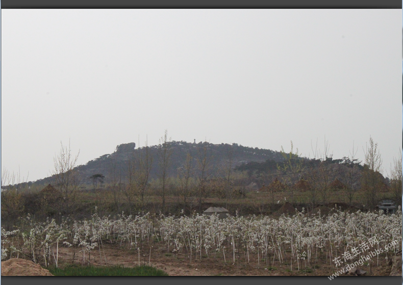 QQͼ20120412004227.png