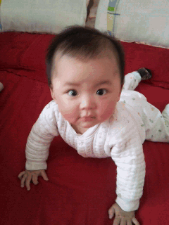 20120515_080501.gif