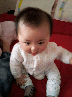 20120515_080851.gif