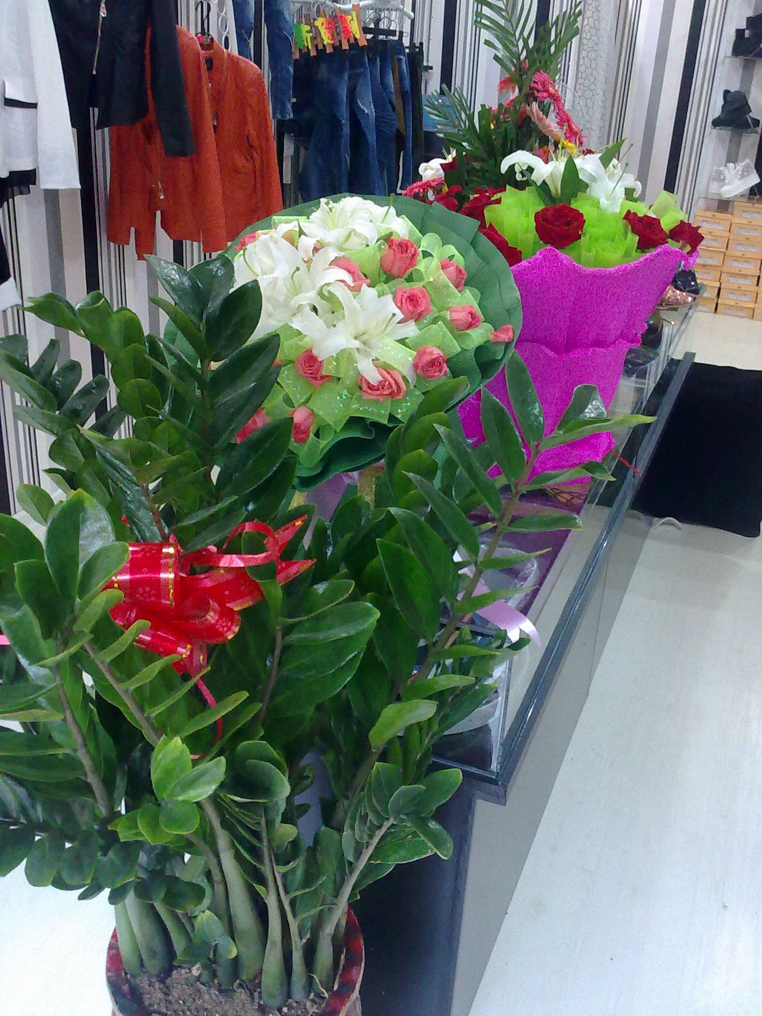 201209091046.jpg
