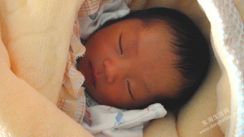 DSC01217_.jpg