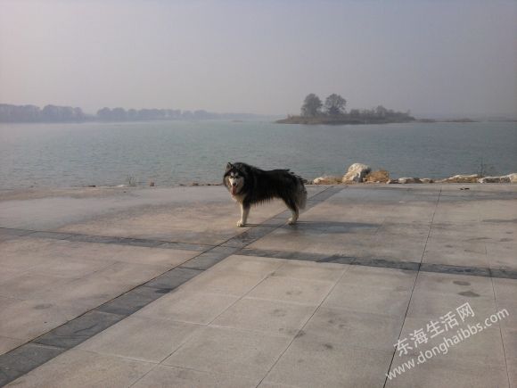 2010-12-19 11.12.20.jpg