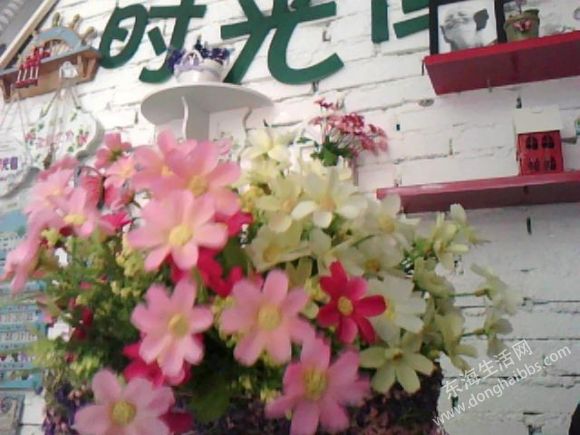 ͼƬ 009.jpg