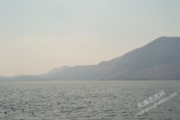 DSC_0066_.jpg