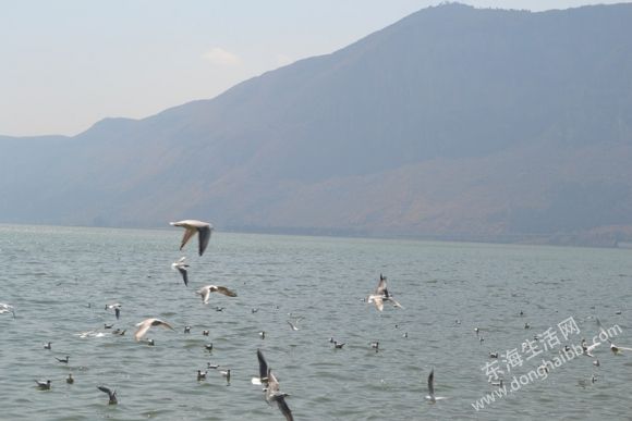 DSC_0091_.jpg