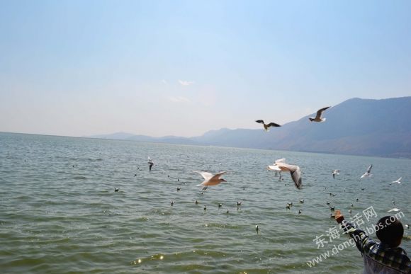 DSC_0115_.jpg