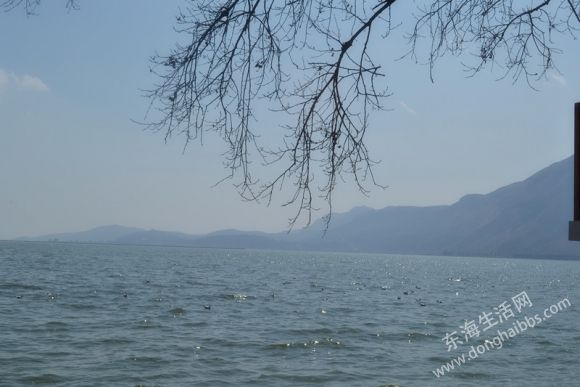 DSC_0205__.jpg