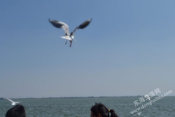 DSC_0269__.jpg