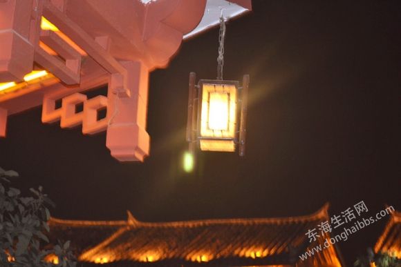 DSC_0672_.jpg