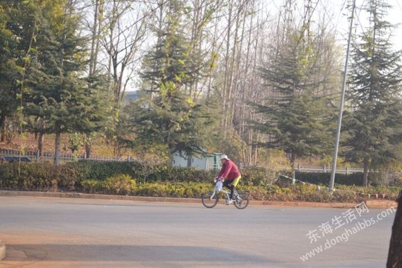 DSC_0713_.jpg