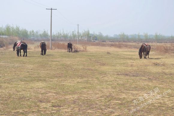 DSC_0874_.jpg