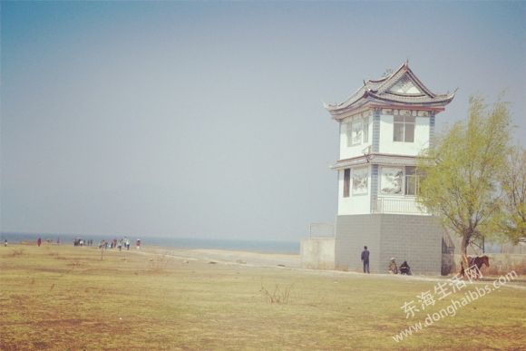 DSC_0877_.jpg