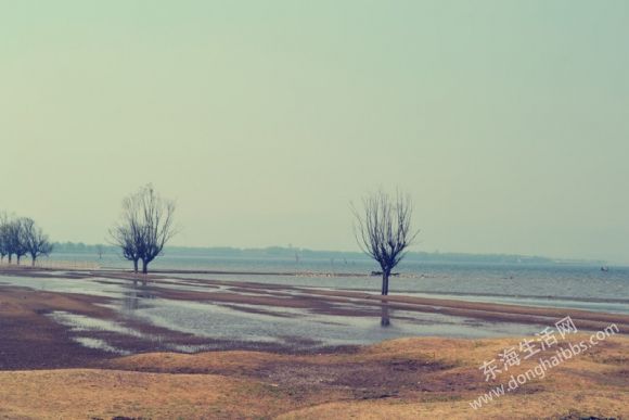 DSC_0892_.jpg