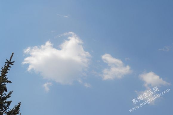 DSC_0277_.jpg