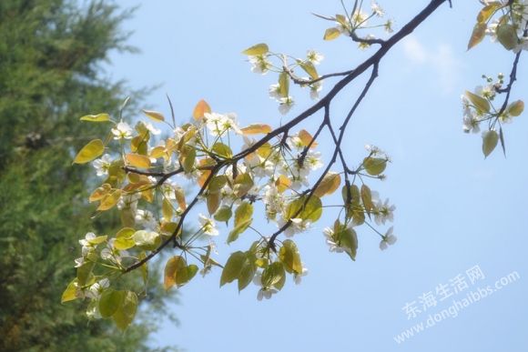 DSC_0500_.jpg