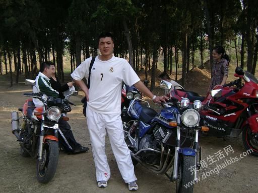bv.jpg