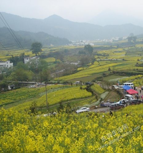 092905agbutg593ckgagu5.jpg