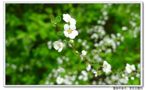 P1180412_nEO_IMG.jpg