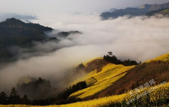 201034125223.jpg
