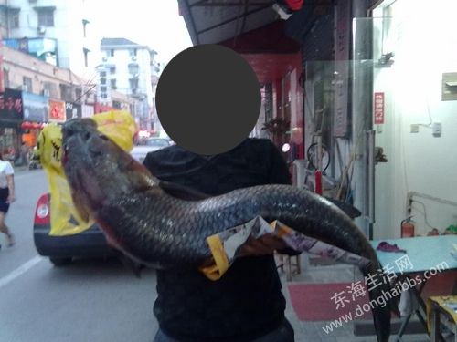 20130427004680.jpg