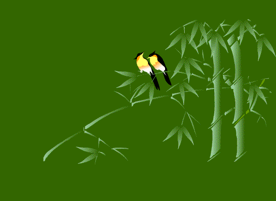 50.gif