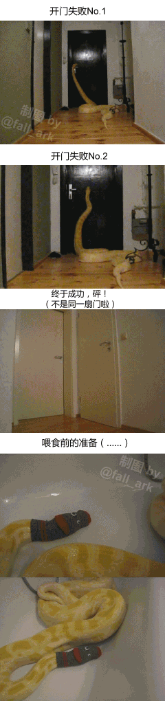 Ӵȥ.gif