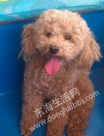 QQͼƬ20130722225635111.jpg