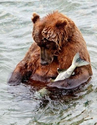 QQͼ20130723143541.jpg