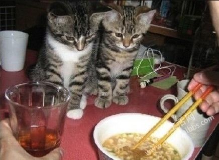 QQͼ20130723143603.jpg