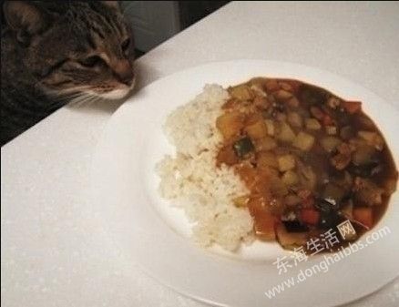 QQͼ20130723143616.jpg