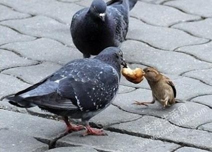 QQͼ20130723143729.jpg
