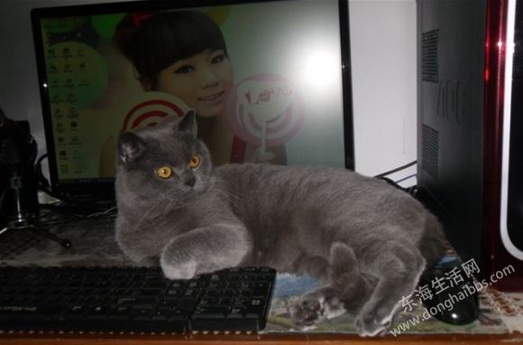QQͼ20130723165018.jpg