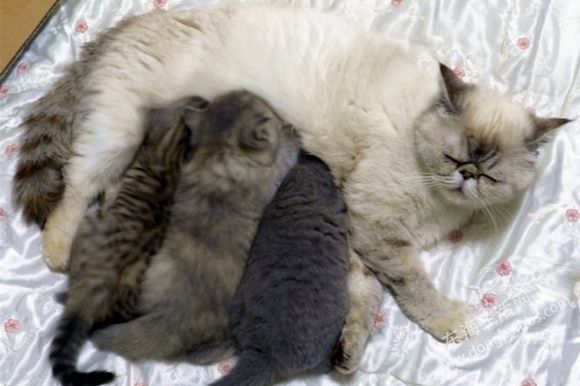 QQͼ20130723164934.jpg